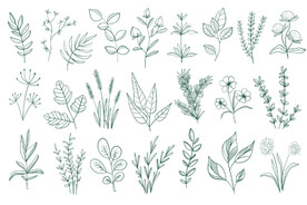 手绘淡雅小清新 