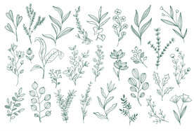 手绘淡雅小清新