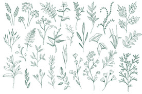 手绘淡雅小清新