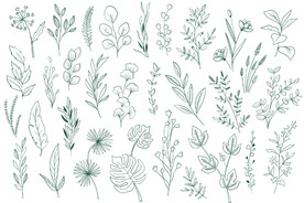 手绘淡雅小清新