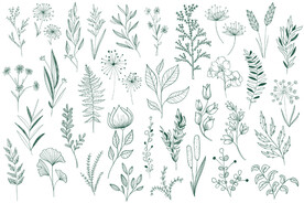 手绘淡雅小清新