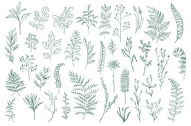 手绘淡雅小清新