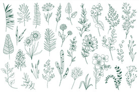 手绘淡雅小清新