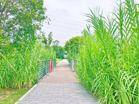 公园一角