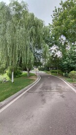 公园道路