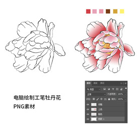 工笔牡丹花