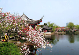 无锡蠡园