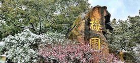 无锡梅园
