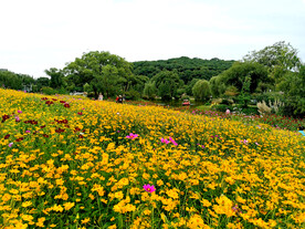 无锡梅园