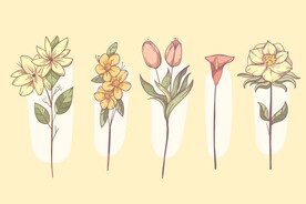 卡通花