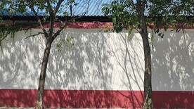 树枝树影树荫墙壁红墙白墙