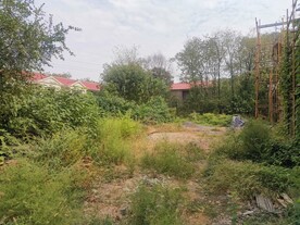 草