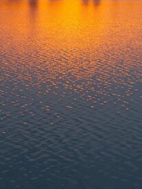 夕阳