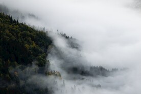 雾