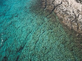海岸