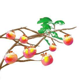 卡通柿子果实元素