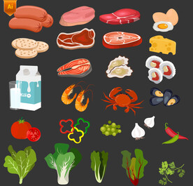 新鲜食食材矢量插画