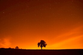 夕阳余晖