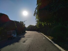 宁静午后