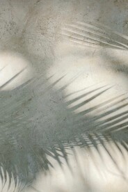 树叶投影