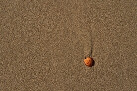沙滩