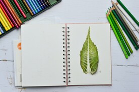 打开的本子
