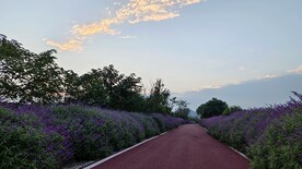 公路