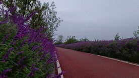 早晨