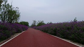 公路