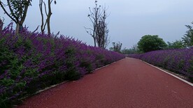 公路