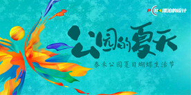 公园的夏天主题活动