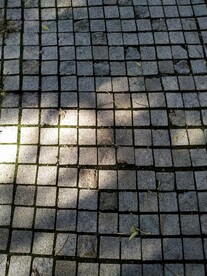 公园小路