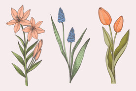 卡通花