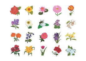 卡通花