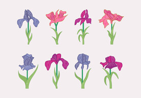 卡通花
