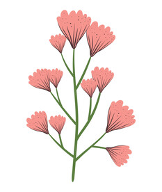 卡通花