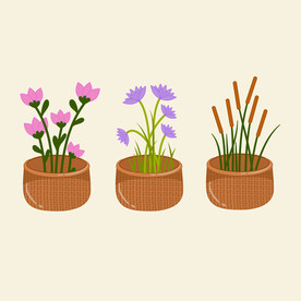 卡通花