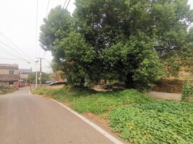 乡村