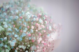 梦幻花朵背景
