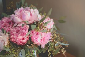 粉色鲜花摄影