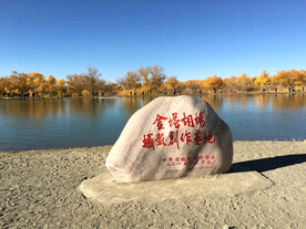 金塔胡杨林 