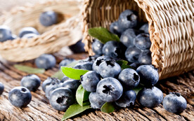 框子里的蓝莓摄影图