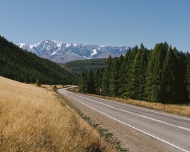 山路