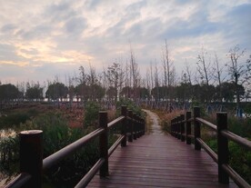 夕阳下林间小木桥