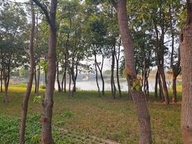 树林间石拱桥