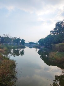 湖边石拱桥