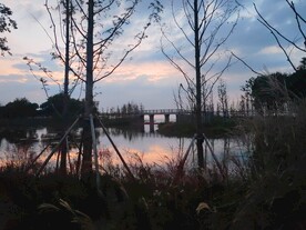 夕阳下林间小石桥