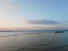 湿地湖泊风光