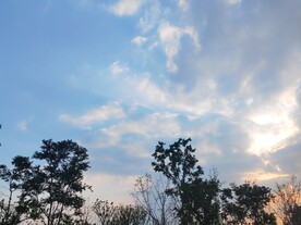 美丽晚霞树木剪影