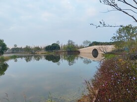 湿地公园湖边石拱桥